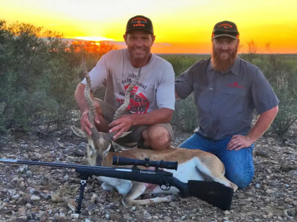Blackbuck Antelope