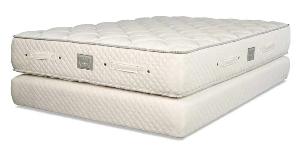 Dream Spring Limited Mattress by Royal-Pedic