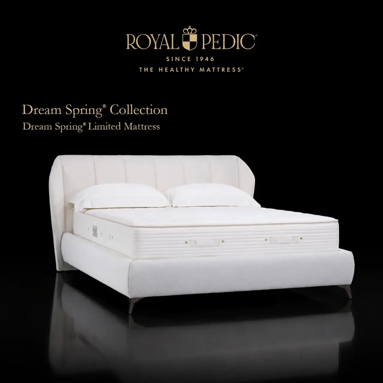 Dream Spring® Limited Mattress
