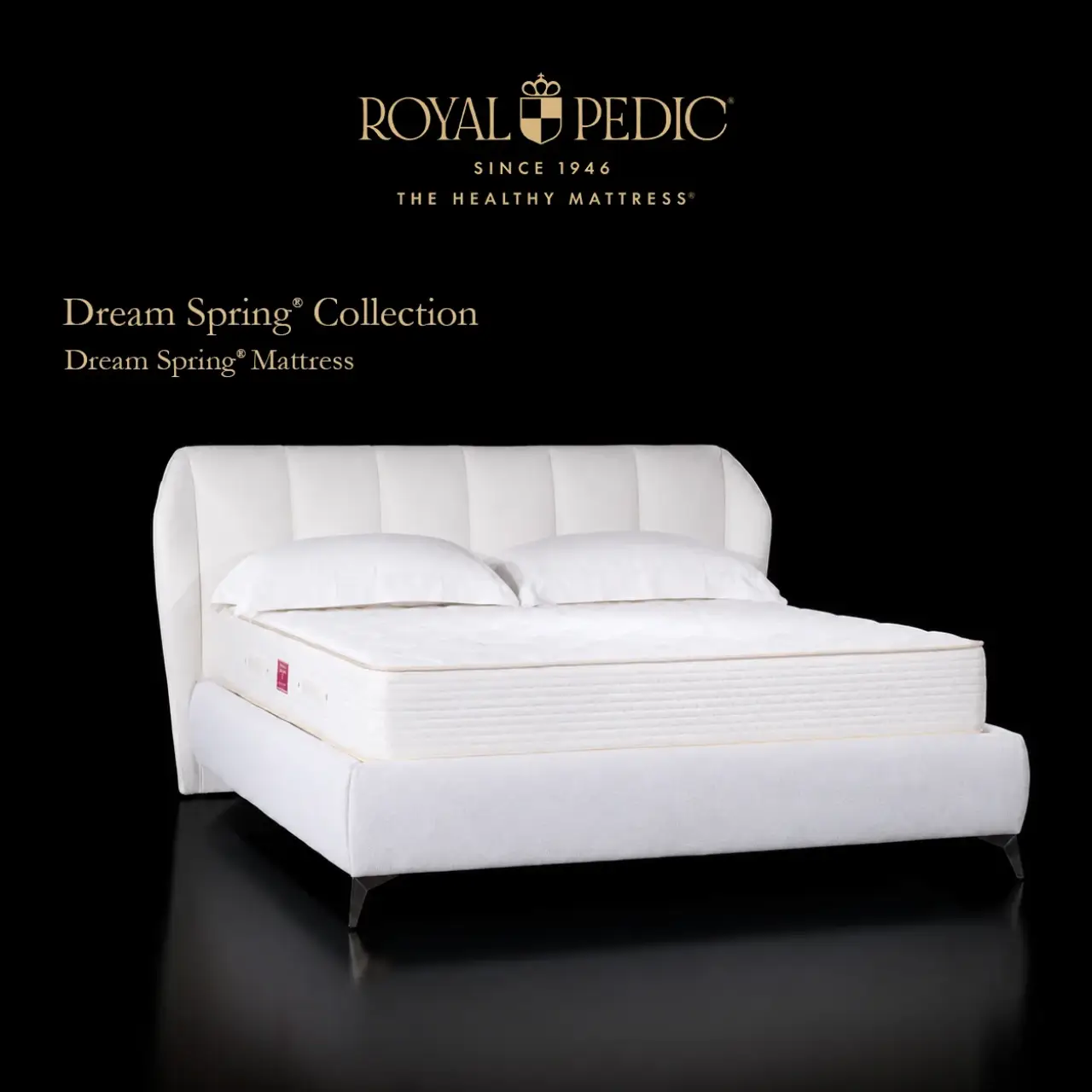 Dream Spring® Mattress
