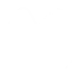 hearing waves icon
