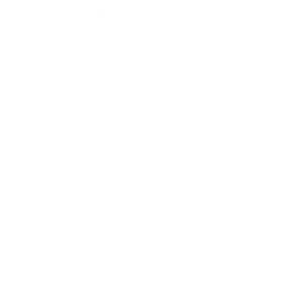 brain wave icon