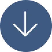 custom down arrow icon