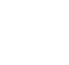 otoscope icon