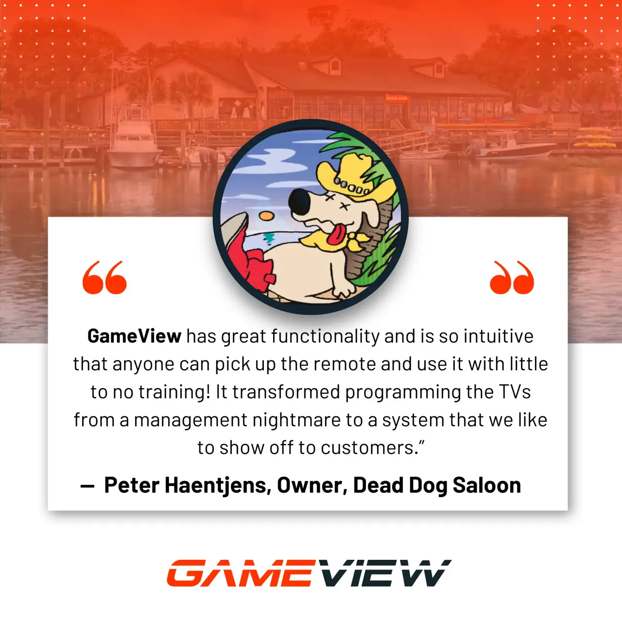gameview has great functionality is so intuitive that anyone can pick up the remote and use it with little to no training!