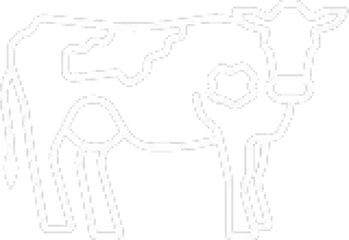 cow outline