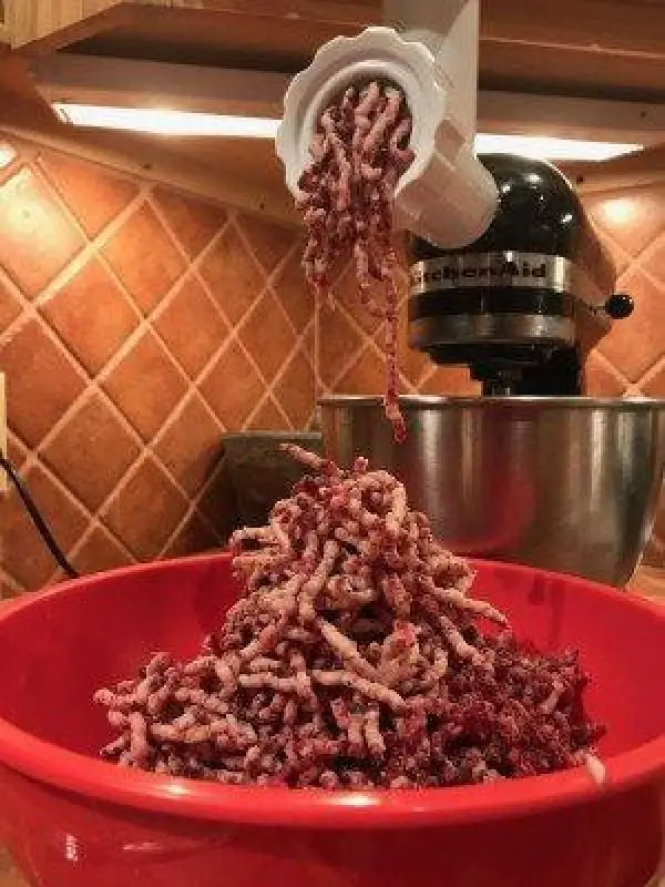 dry aged beef in meat grinder attachment