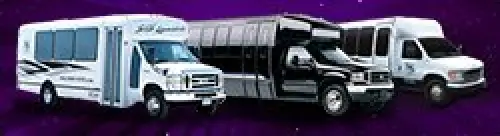 22 Passenger Buses