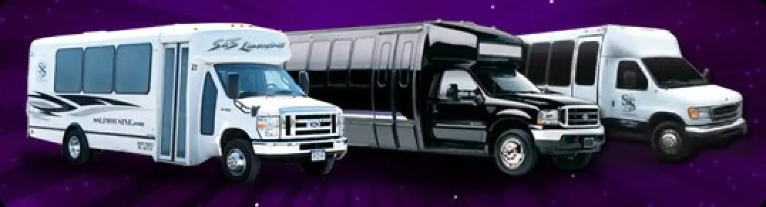 22 Passenger Buses