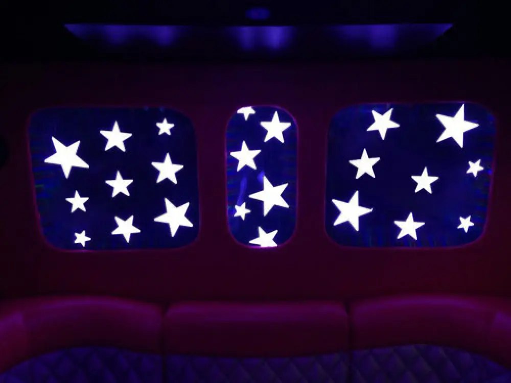 Pink Limo Bus interior