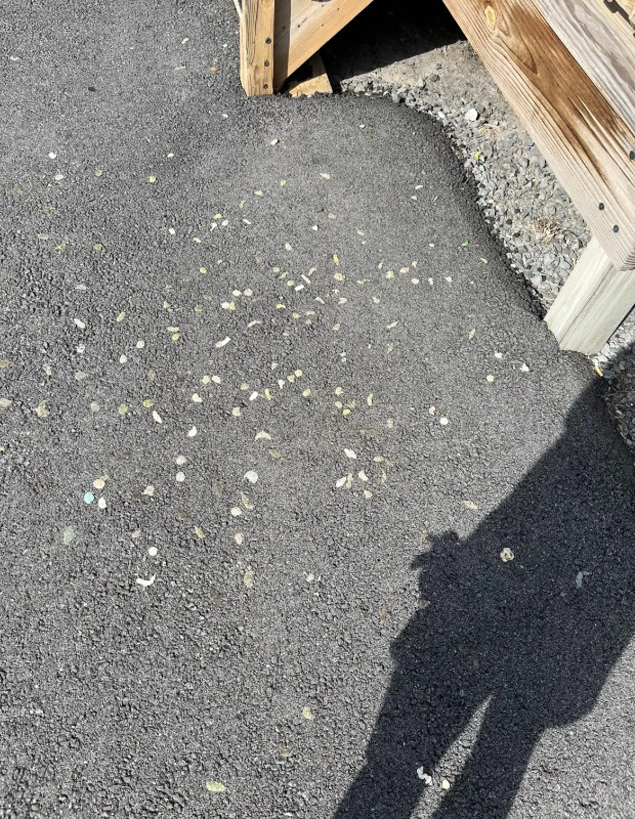 Power washing project before