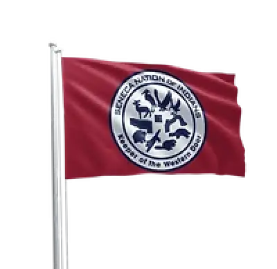 Sni Flag 36X60