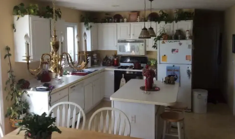 Bright kitchen with white cabinets, hanging plants, and a gold chandelier over a dining table.