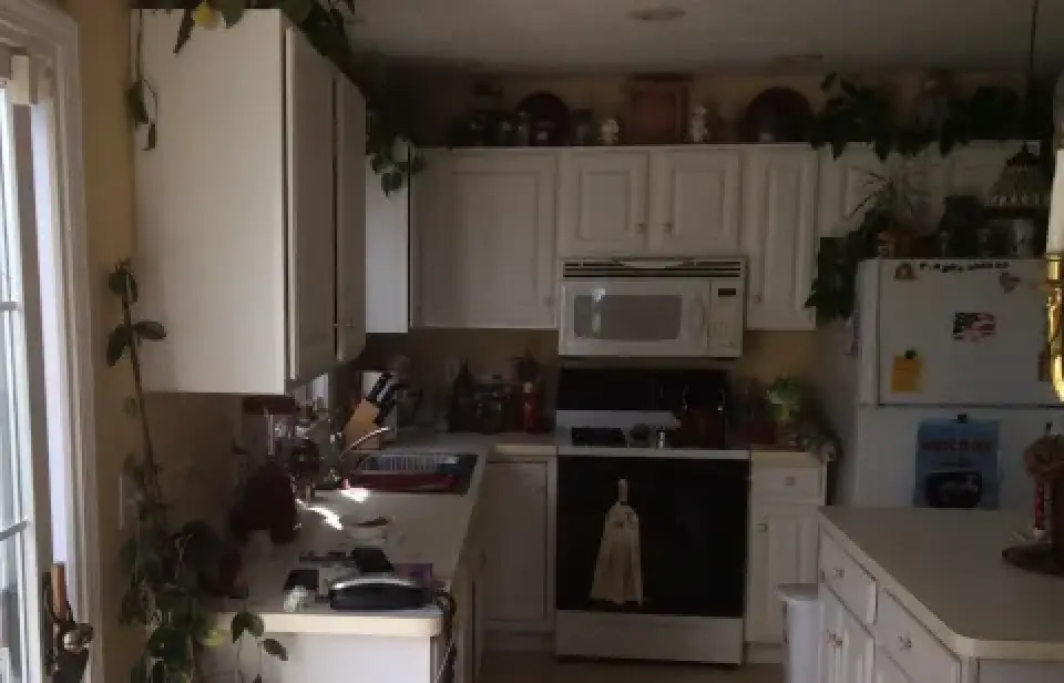 A small kitchen with white cabinets, plants, and sunlight streaming through a glass door.