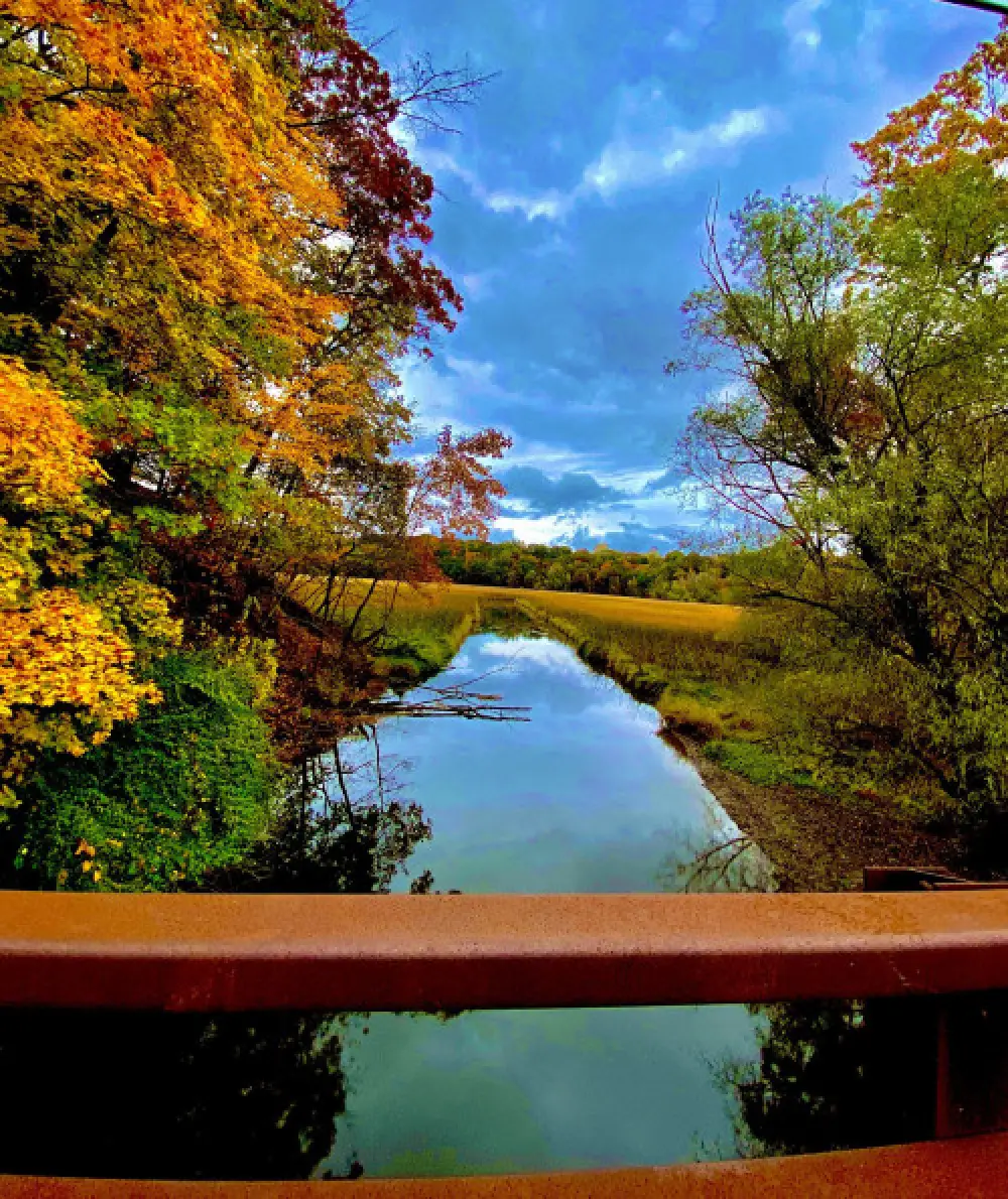 fall leaves and creek scenery