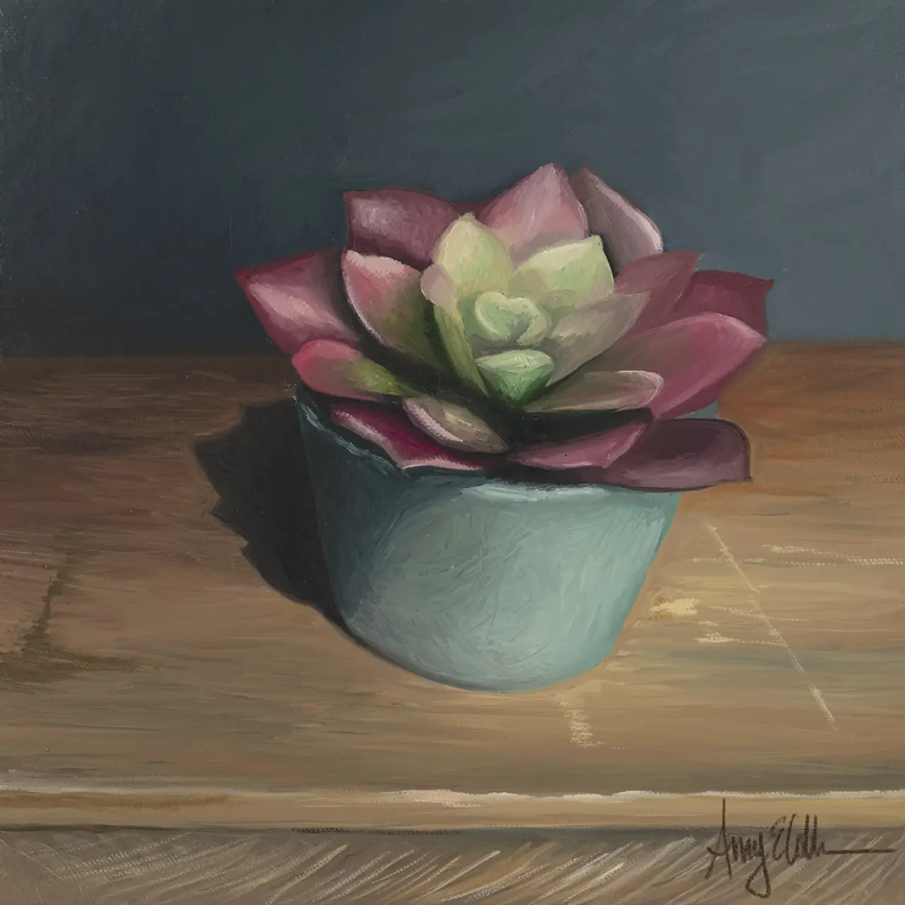 Succulent