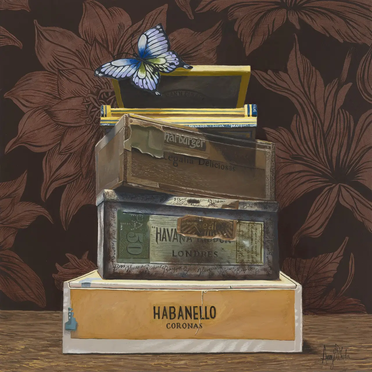 Butterfly, Cigar boxes, Dahlia
