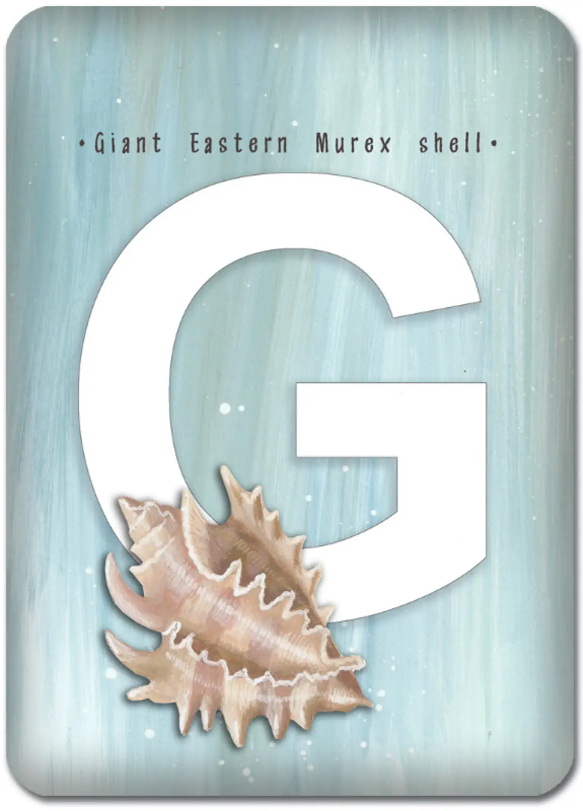 G is for Giant Eastern Murex