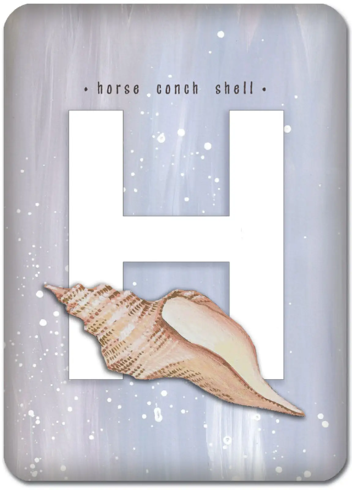 H is for Horse Conch