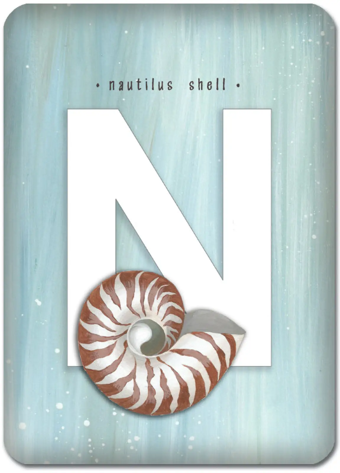 N is for Nautilus Shell
