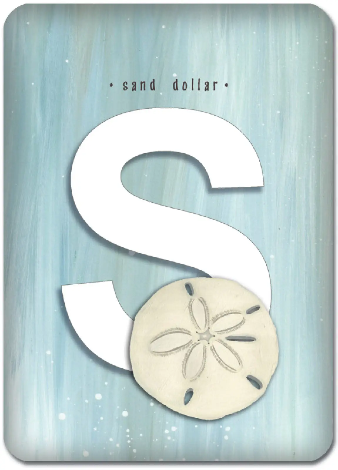 S is for Sand Dollar
