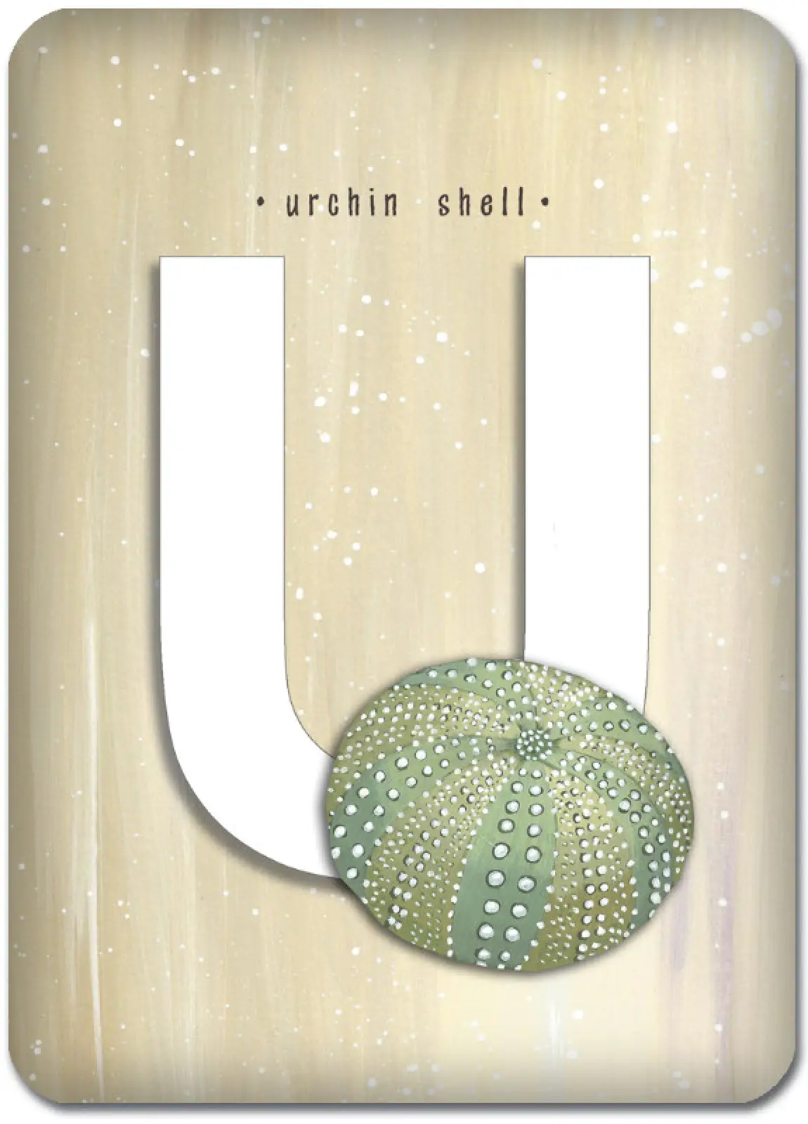 U is for Urchin Shell