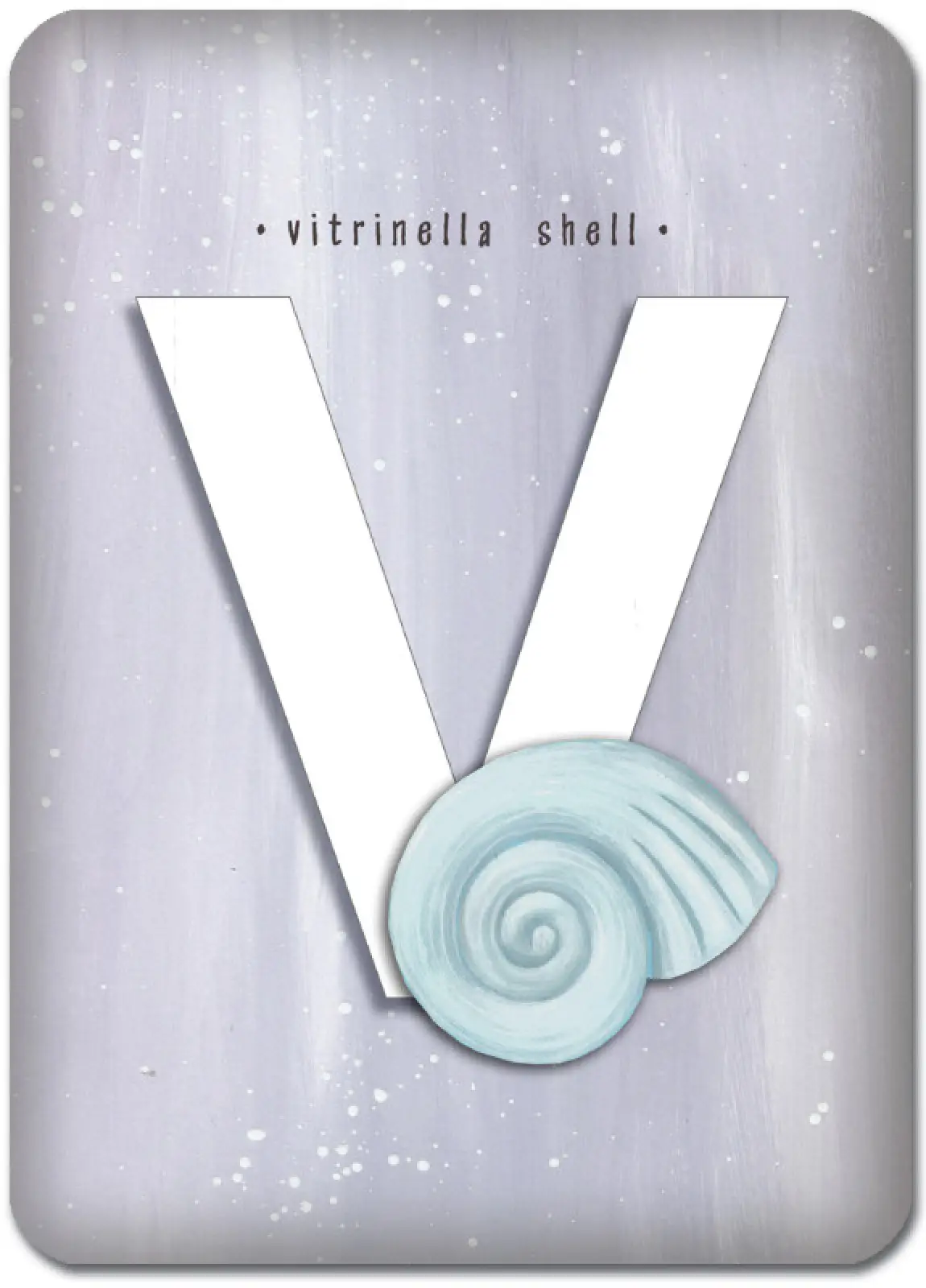 V is for Vitrinella Shell