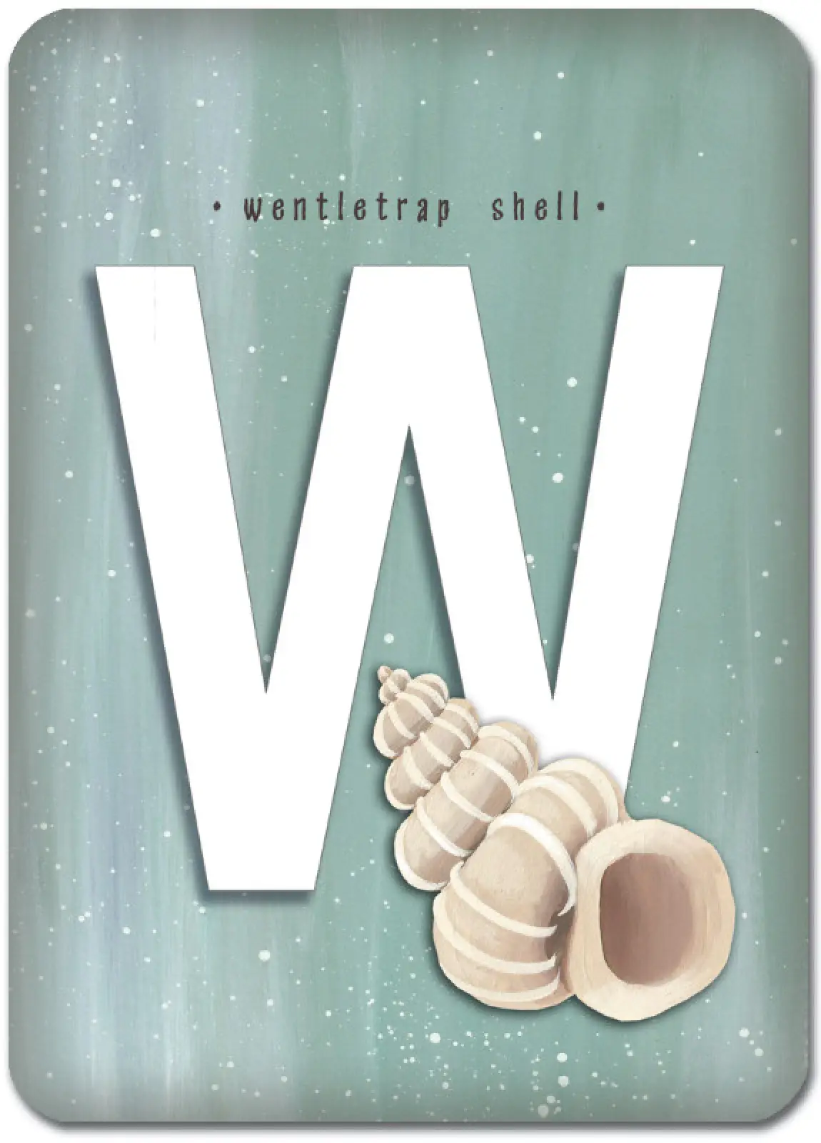 W is for Wentletrap Shell
