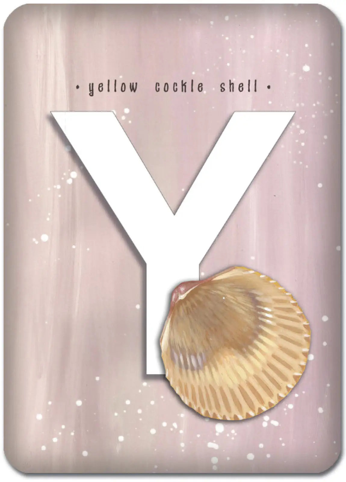 Y is for Yellow Cockle Shell