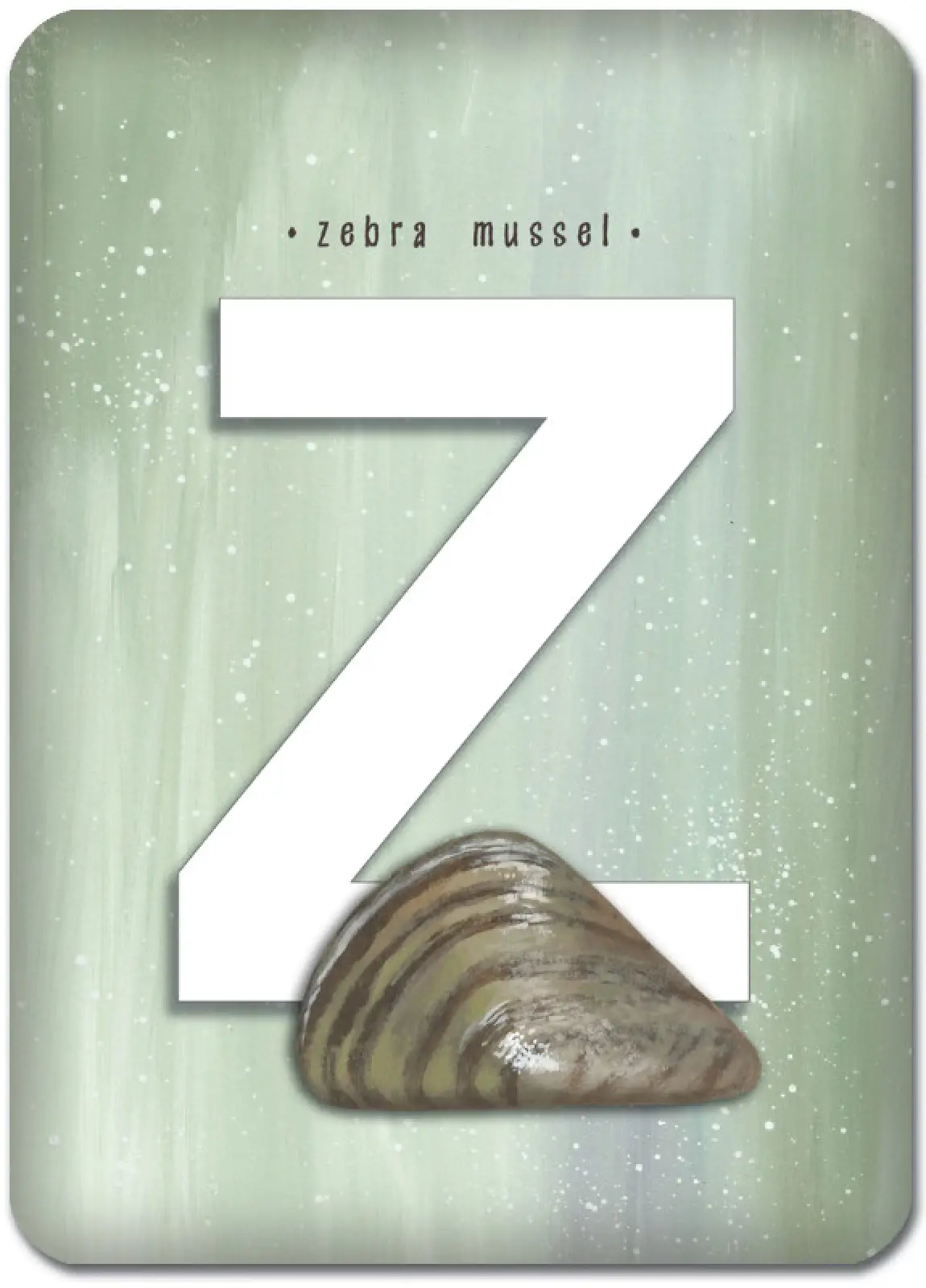 Z is for Zebra Mussel