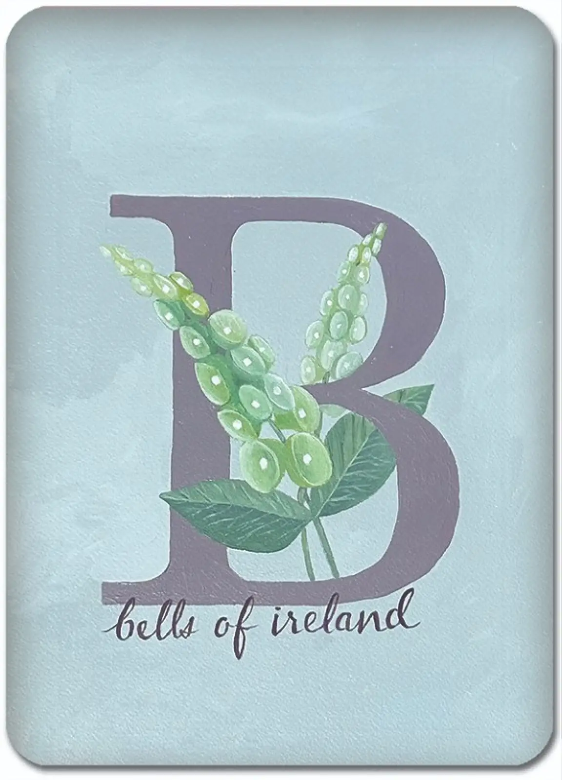 B is for Bells of Ireland