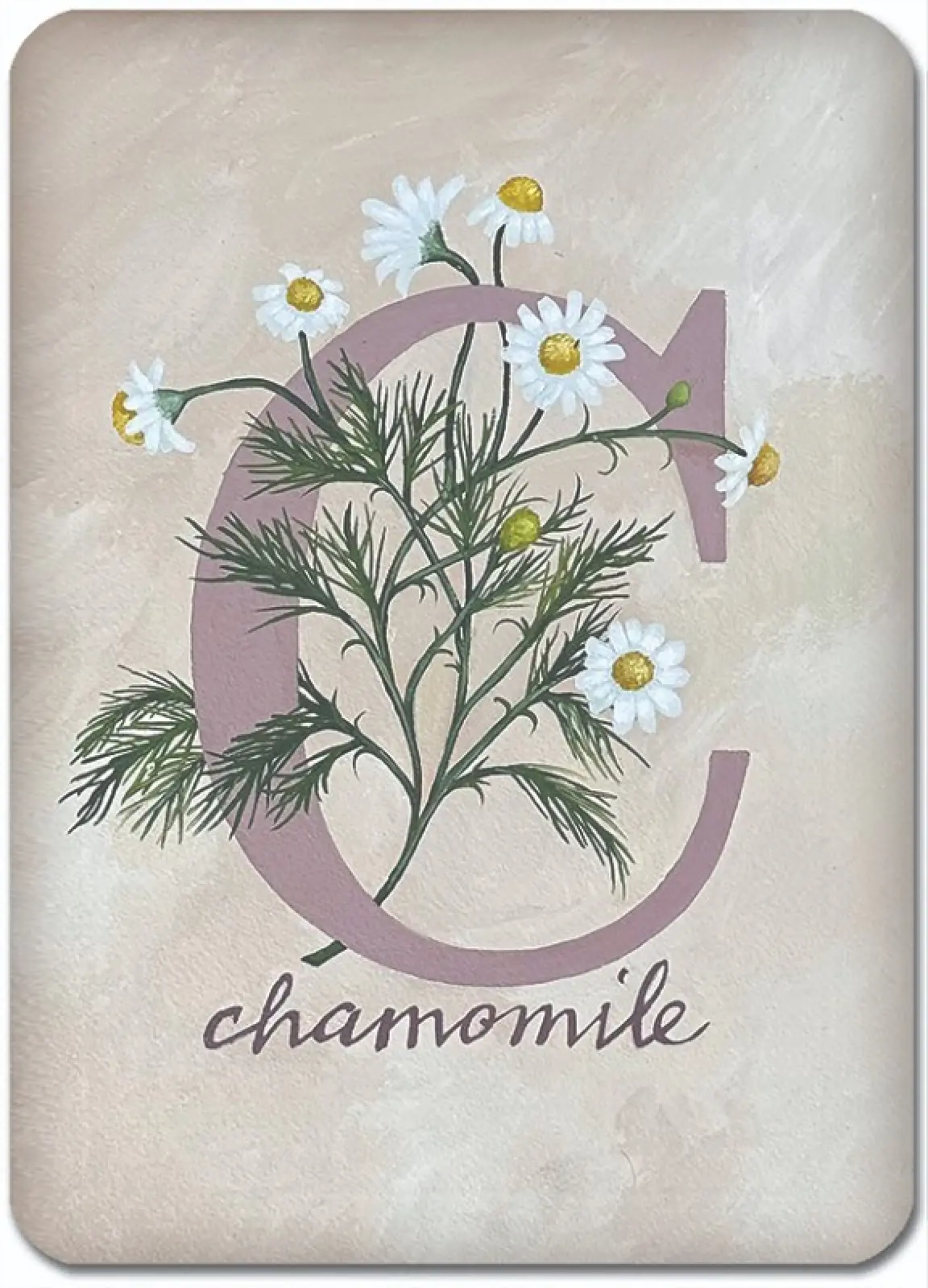 C is for Chamomile