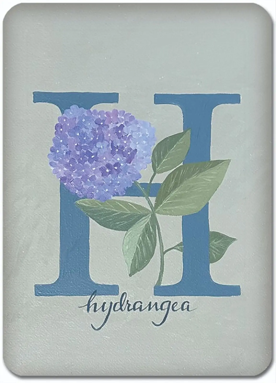 H is for Hydrangea