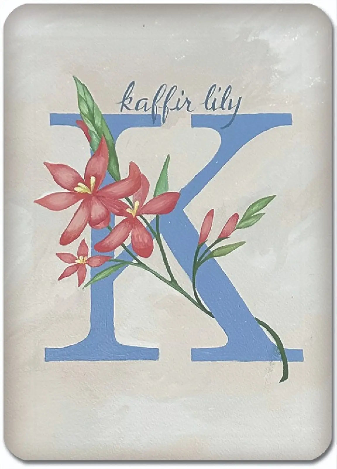 K is for Kaffir Lily