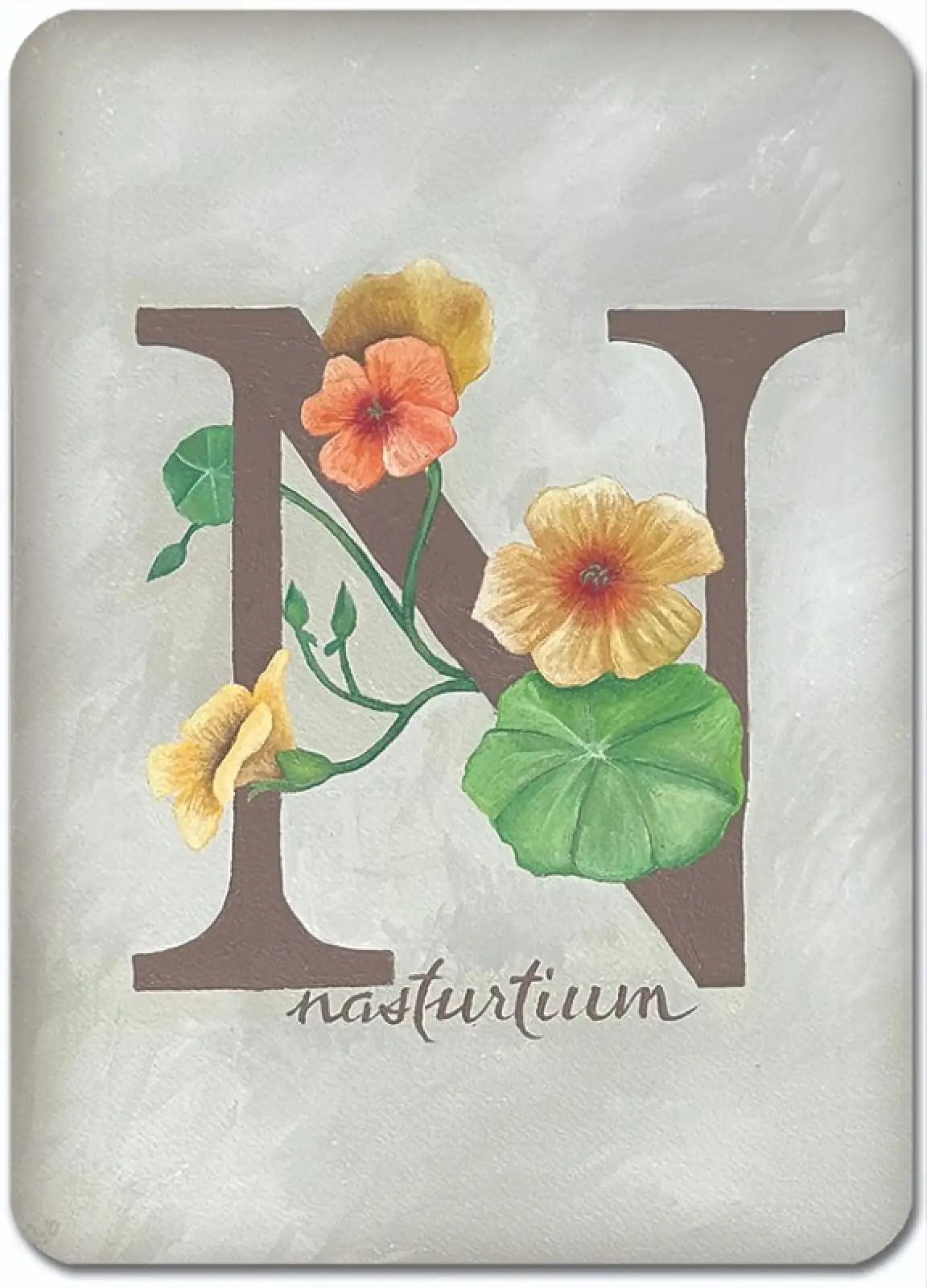 N is for Nasturtium