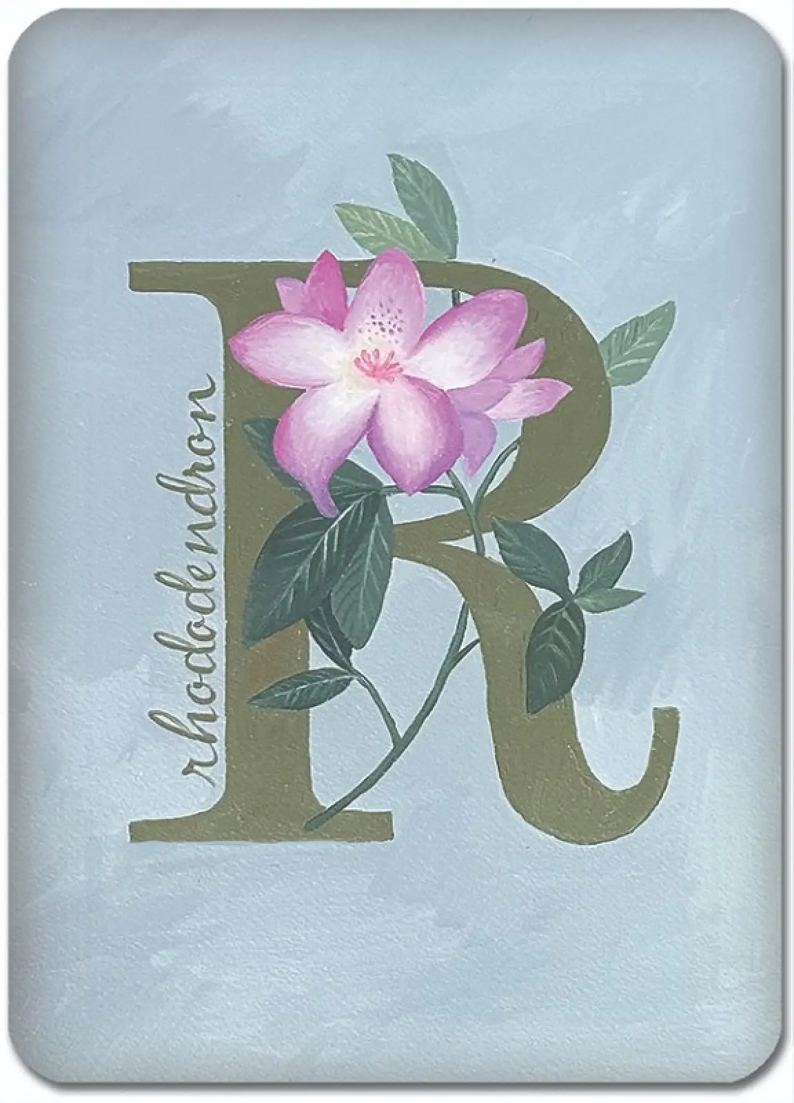 R is for Rhododendron