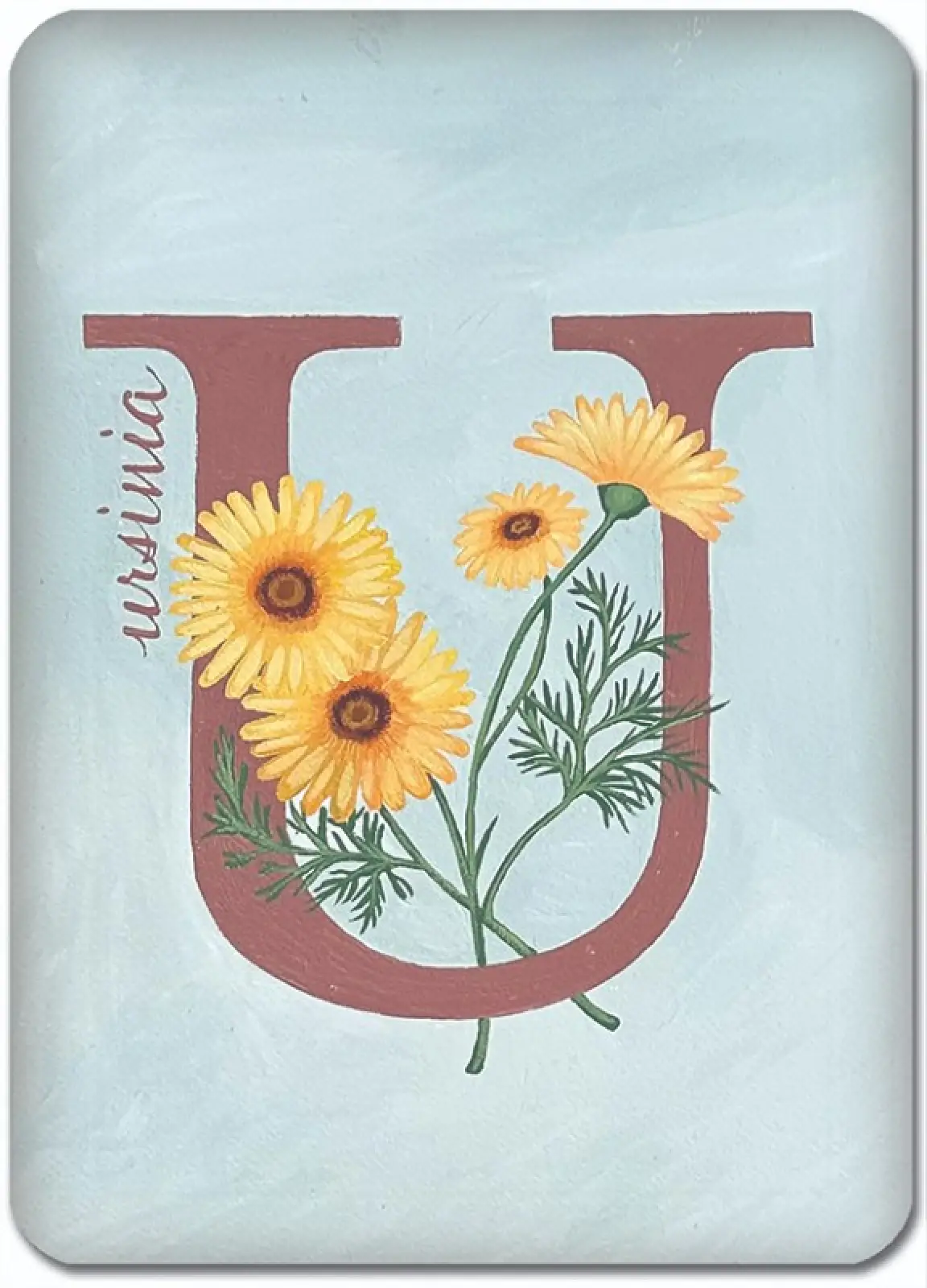 U is for Ursinia