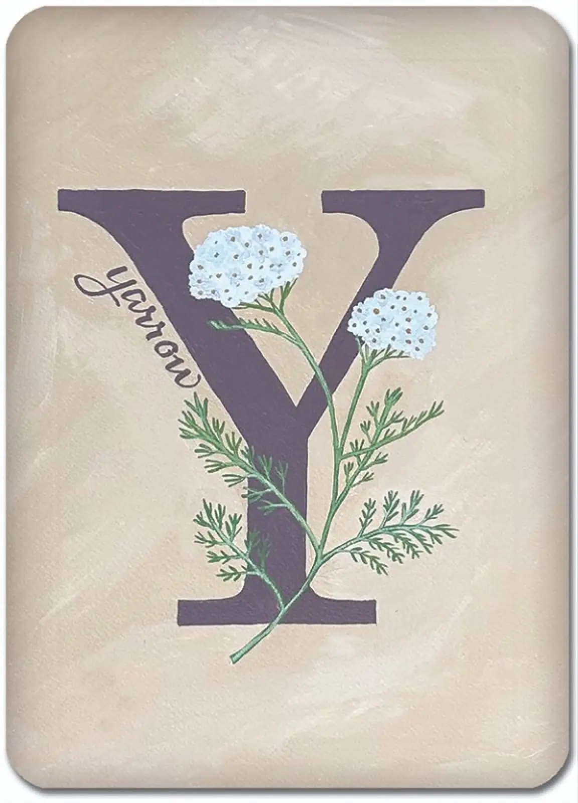 Y is for Yarrow
