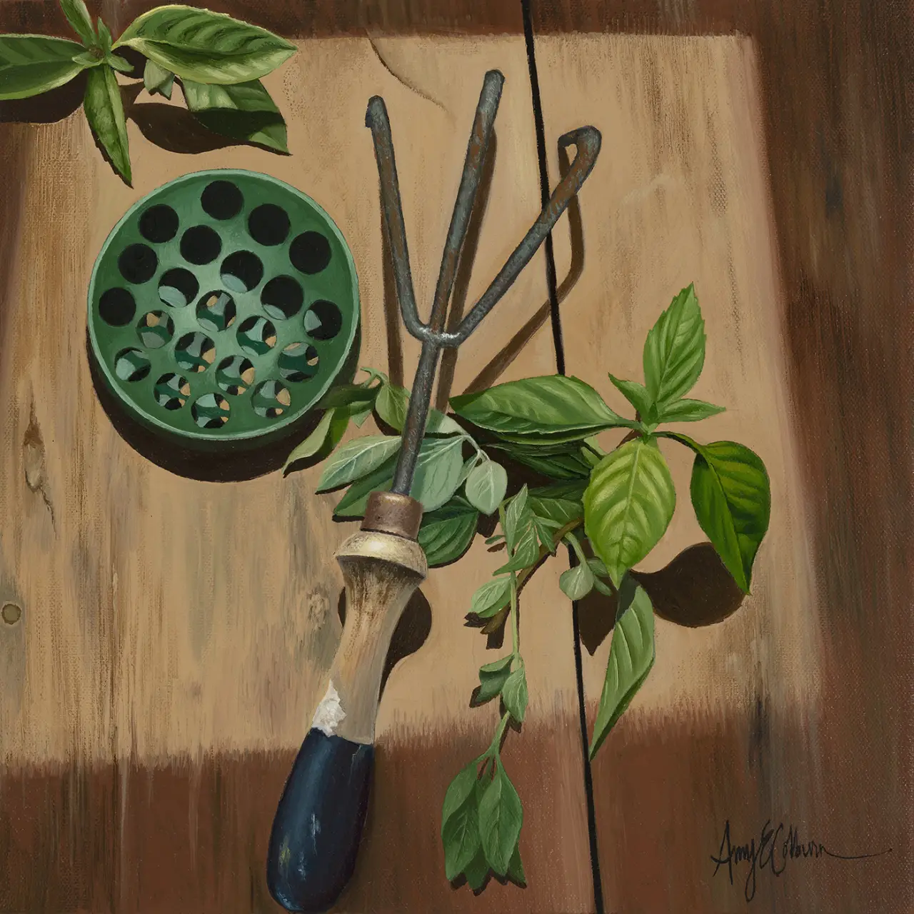 Flower frog, Garden tool, Herbs