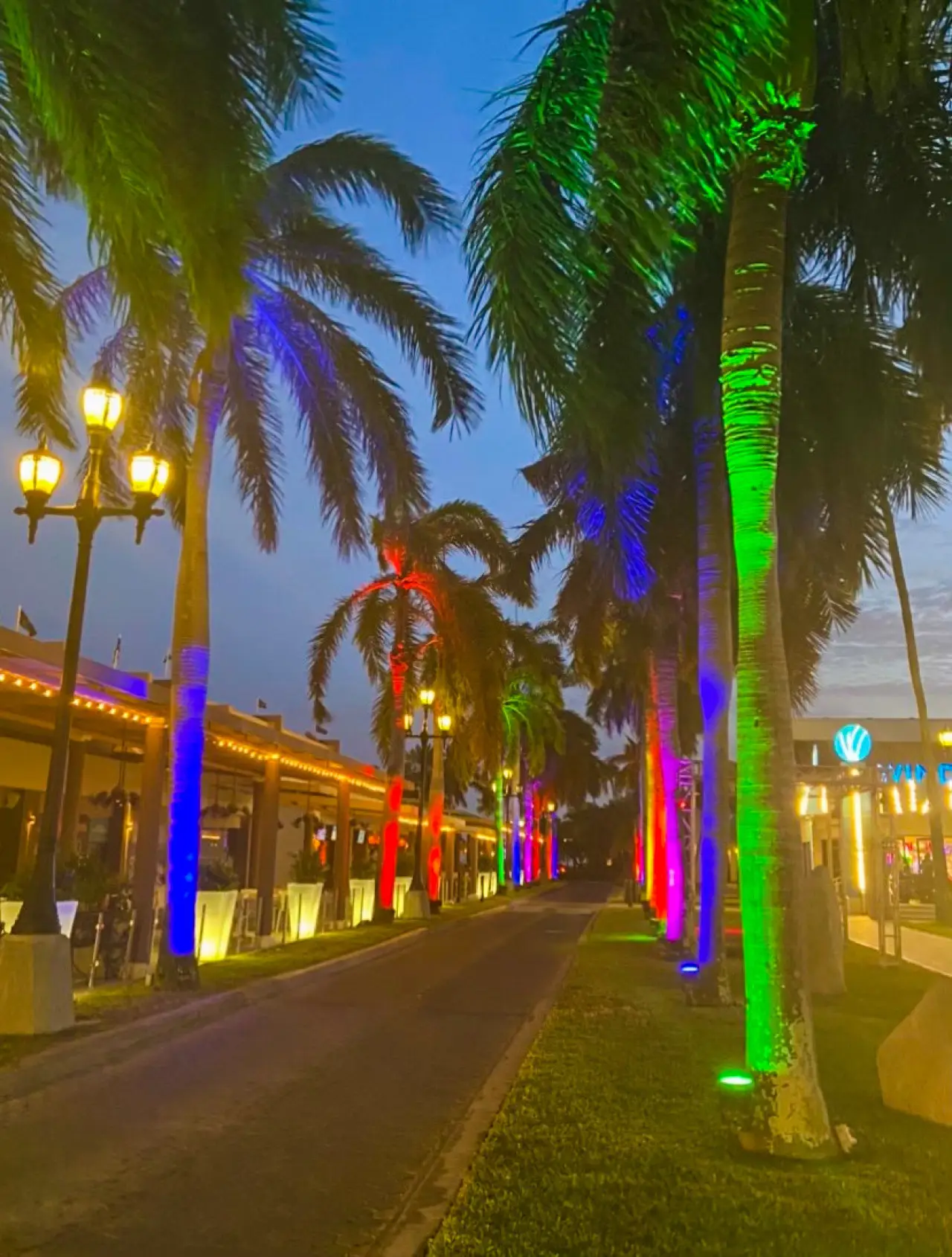 a street with palm trees and buildings