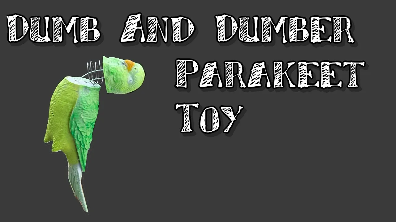 Dumb And Dumber Pinball Parakeet video thumbnail