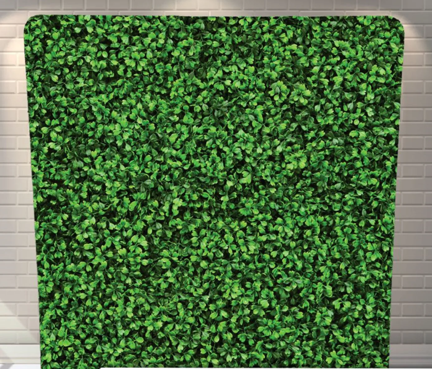 Hedge premium tension fabric backdrop rental