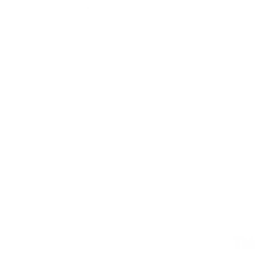 balanced spectrum cannabinoids & terpenes logo