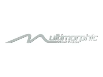 Multimorphic logo