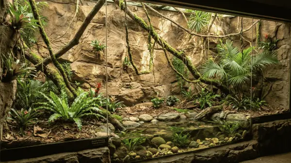 Faux rock panels used on an outdoor zoo enclosure wall