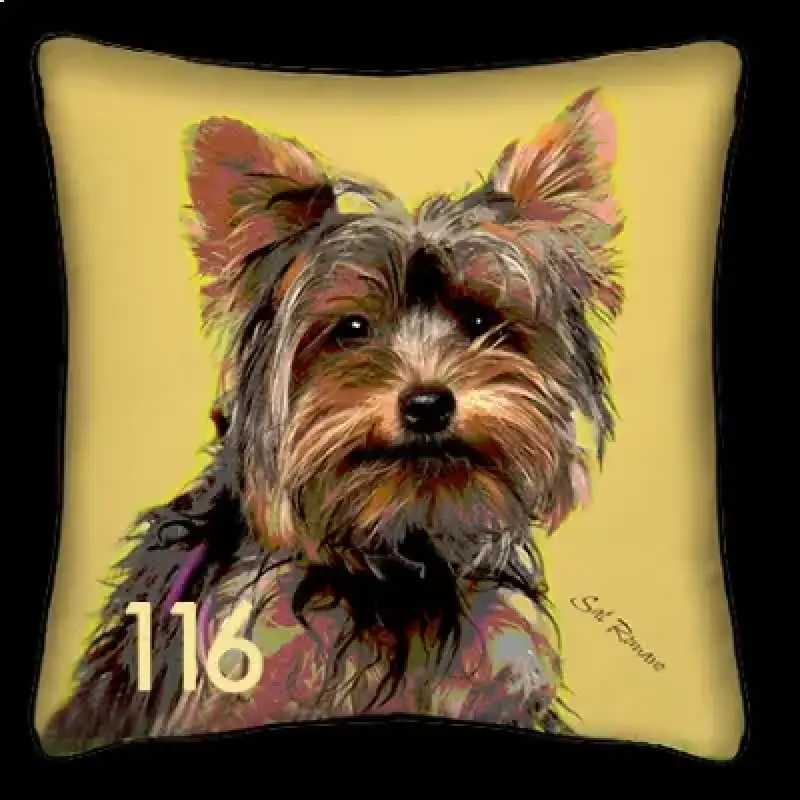 Yorkie - Yellow