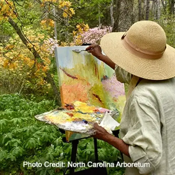 Plein Air painting