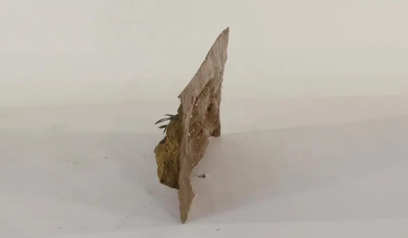 24" x 12" Ledge