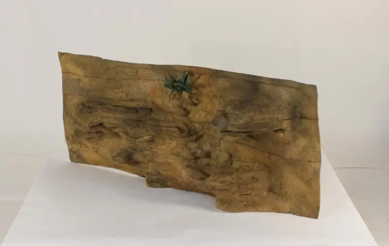 48" x 20" Ledge