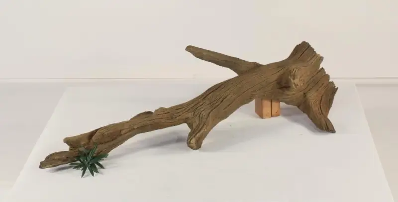 Floating Log-002